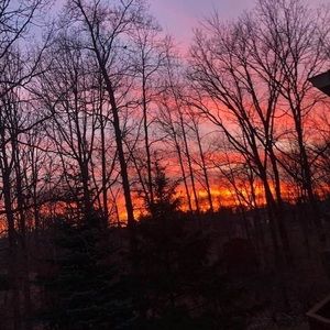 Meet your Posher, Ann